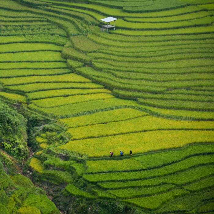 northern vietnam