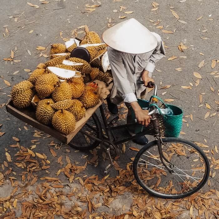 travel southern vietnam