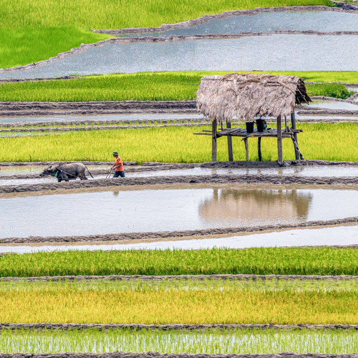 Countryside, Pu Luong, Vietnam