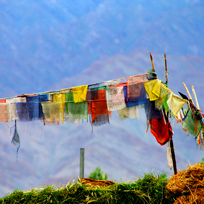 Amrita Ghanty, Leh, Ladakh, India