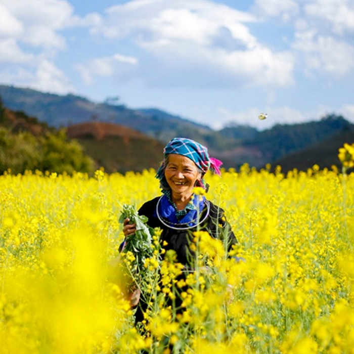 Sustainable travelling in Vietnam 