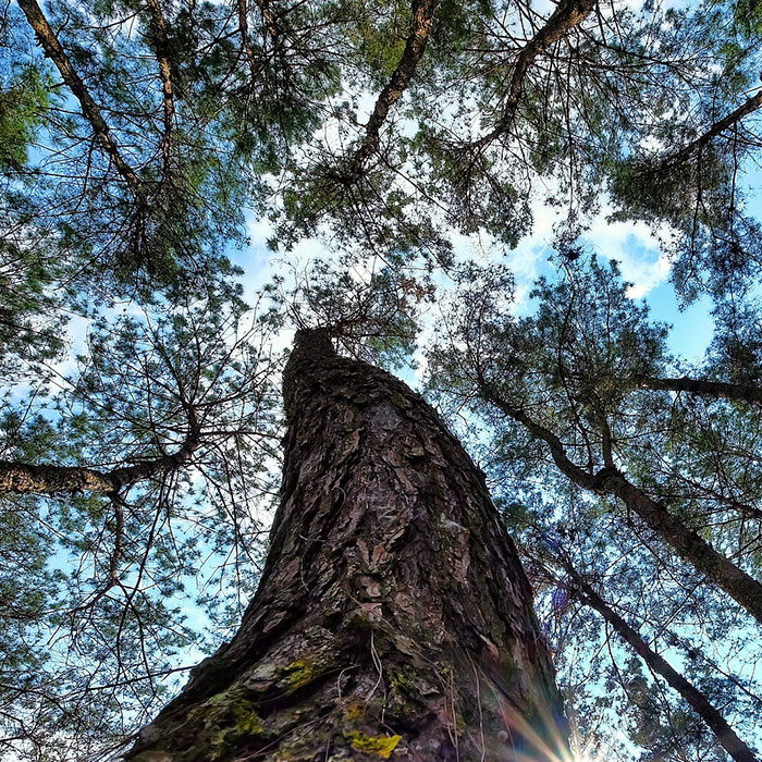 Cuc Phuong National Forest, Vietnam