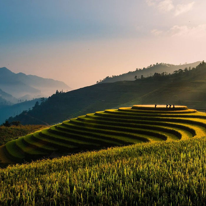 Mu Cang Chai