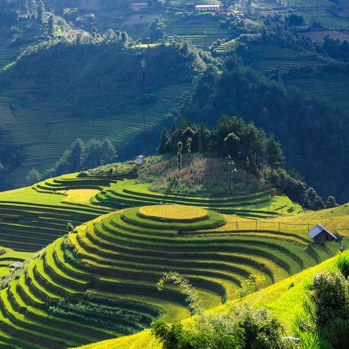 Mu Can chai, Vietnam