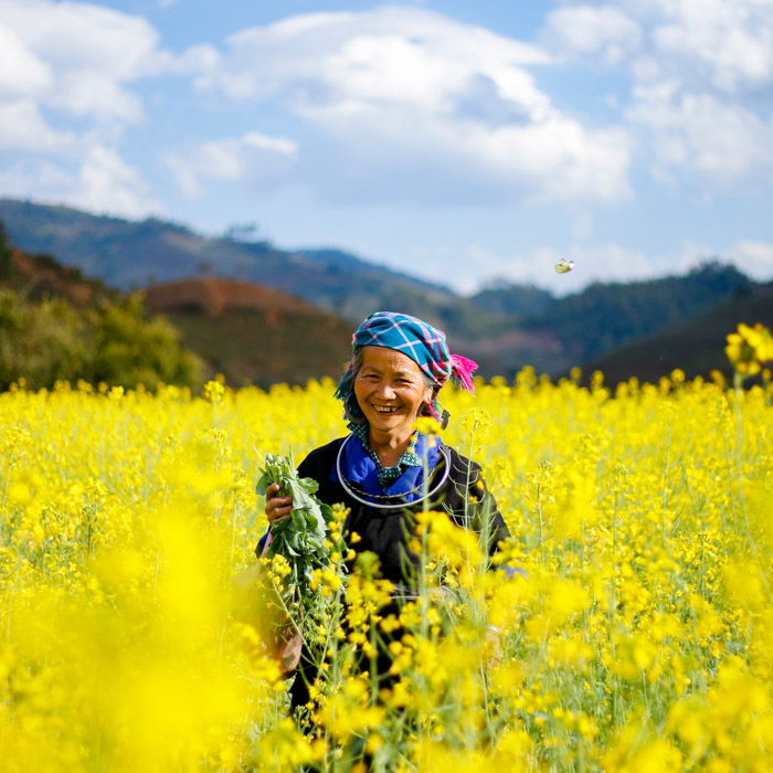 Woman, H'Mong, Vietnam