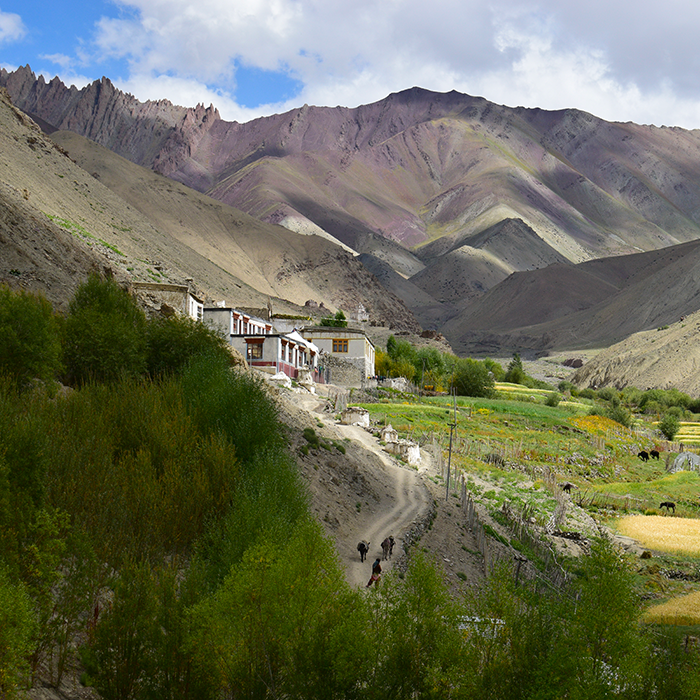 India, Ladakh, Rumbak, Mountains