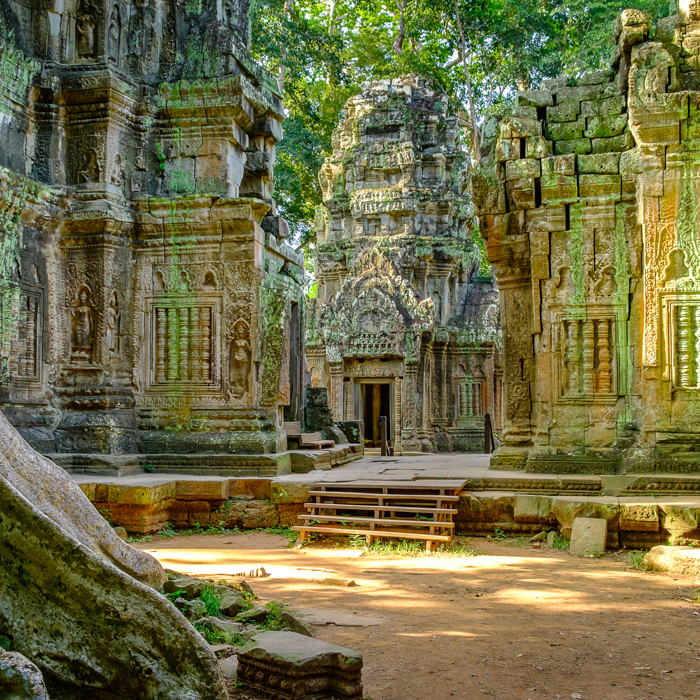 Cambodia, Angkor Ta Prohm, Temple