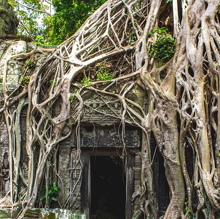 Ta Phrom, Angkor Temples, Cambodia