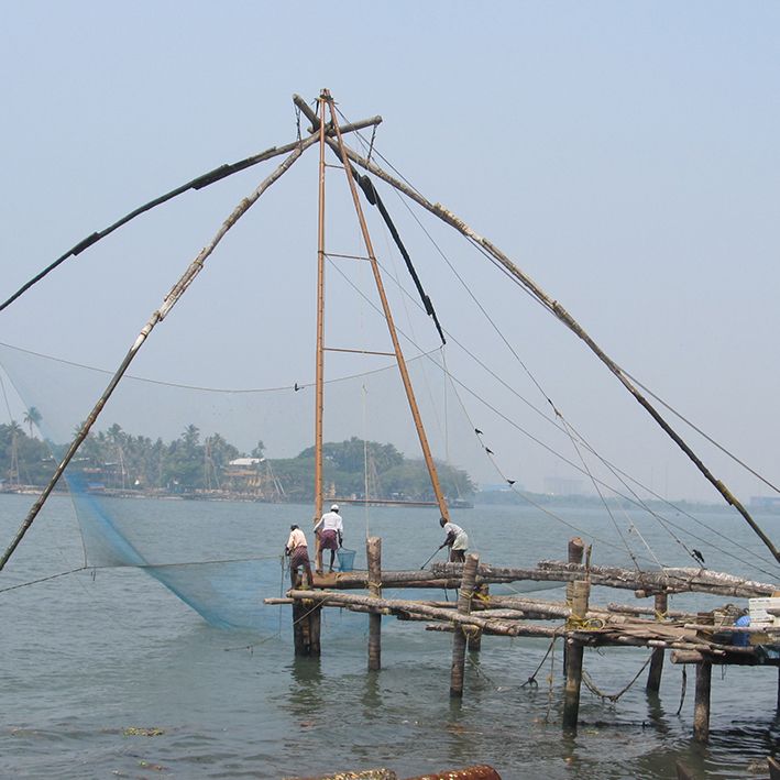 Famous Chinese fishing nets in Cochin Chinese fishing nets, Cochin, India