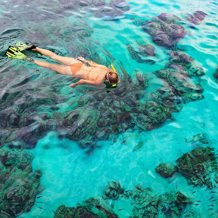 Snorkeling, Maldives