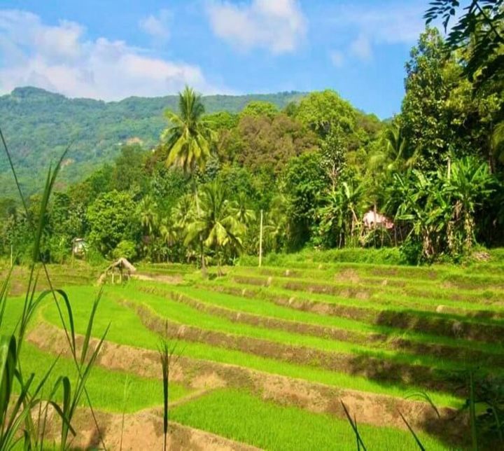 Mahiyangana Sri Lanka