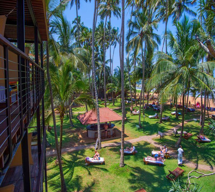 Sri Lanka holidays Relax in Sri Lanka