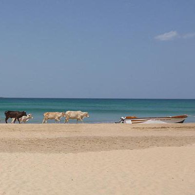 Beach,Batticaloa,Sri Lanka