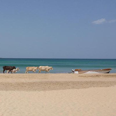 Beach,Batticaloa,Sri Lanka