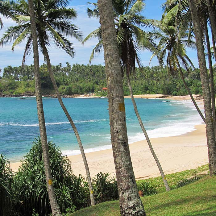 Beach, Sri Lanka