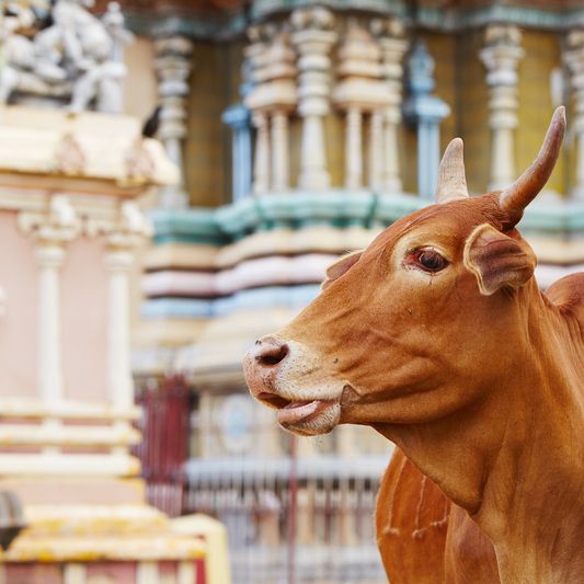 Jaffna,Temple, Sri Lanka