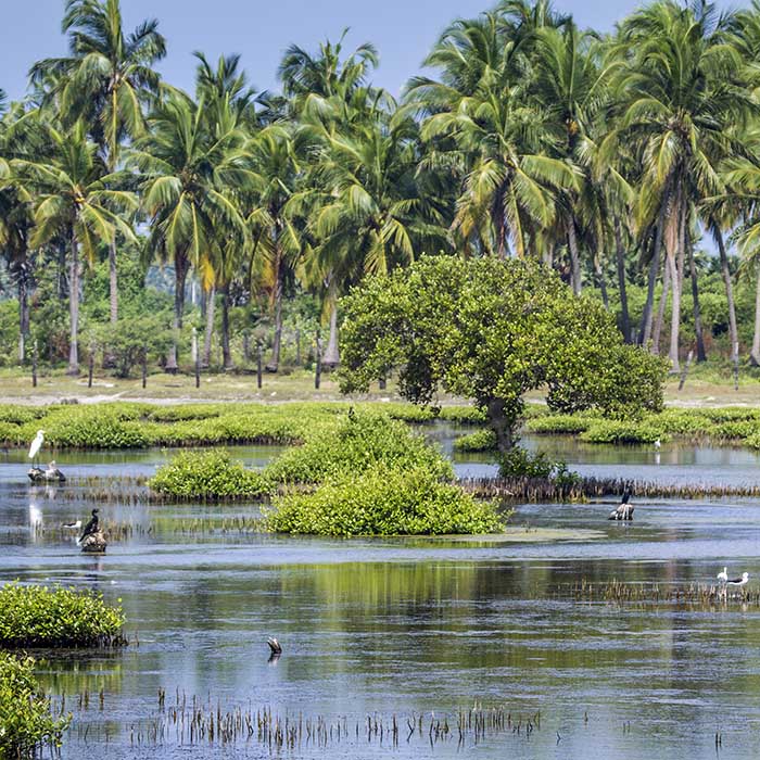 Lagoon, Kalpitiya, Sri Lanka