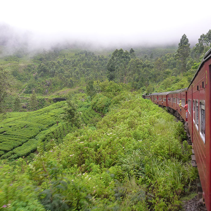 Train, Kandy, Sri Lanka