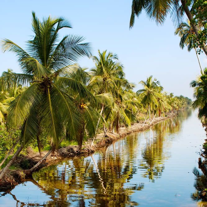 Boat trip, Muthurajawela Marsh Nature Reserve, Sri Lanka