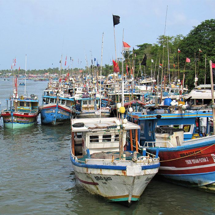 Harbour, Negombo, Sri Lanka