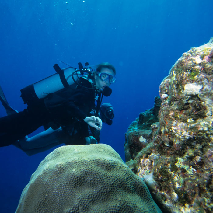 Sri Lanka, Colombo, scuba diving