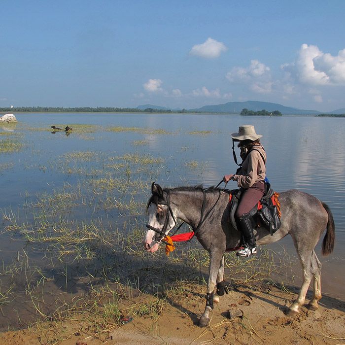 Horse, lake, Sigiriya, Sri Lanka