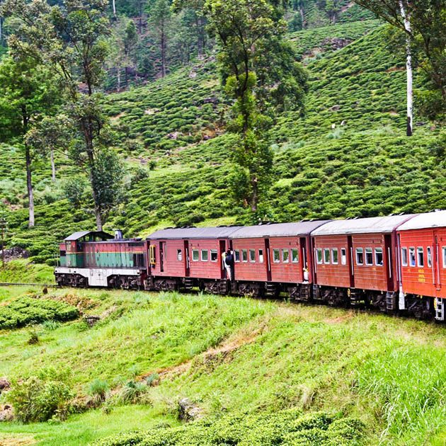 tTrain, Ella-Nuwara Eliya, Sri Lanka