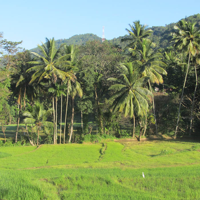 Knuckles Range trek, Sri Lanka