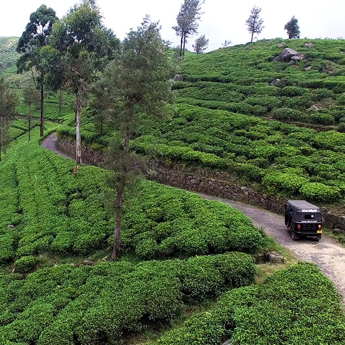 Tuk-tuk safari, Haputale, Sri Lanka