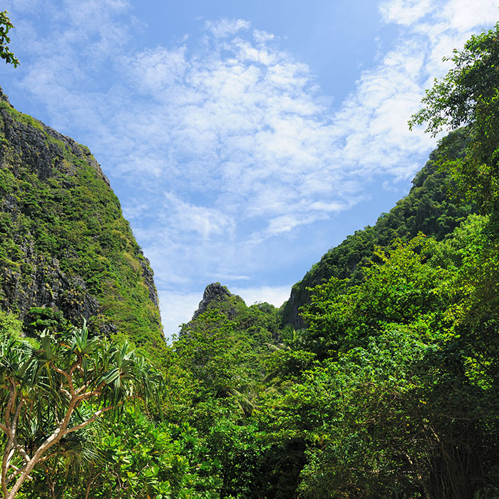 Trekking, Koh Chang, Thailand