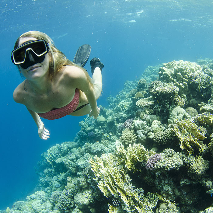 Snorkeling, Islands, Thailand