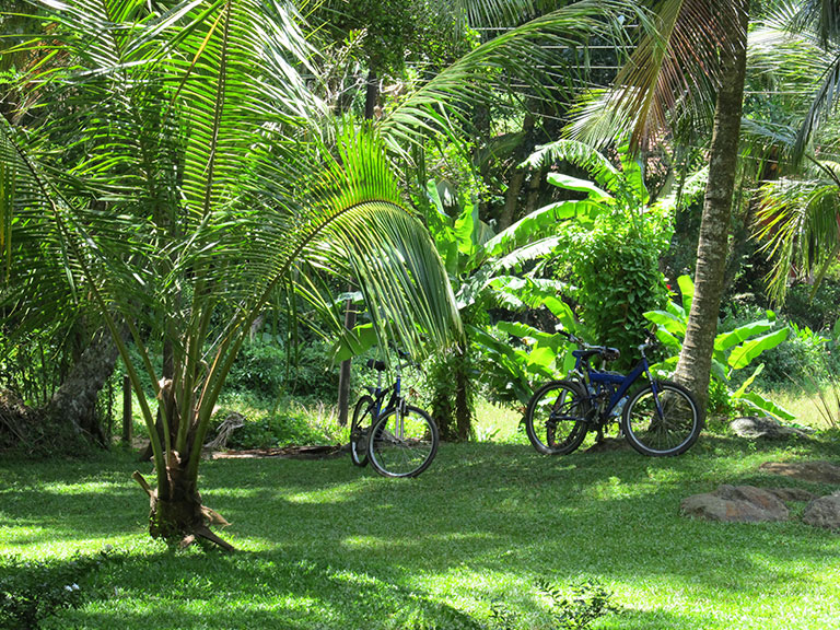 bicycle-unawatuna