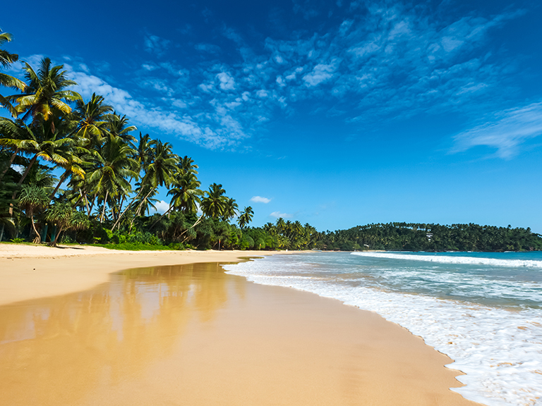 trip-family-sri-lanka