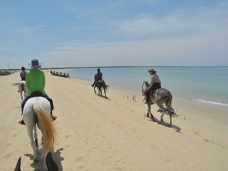 horse-riding-sri-lanka