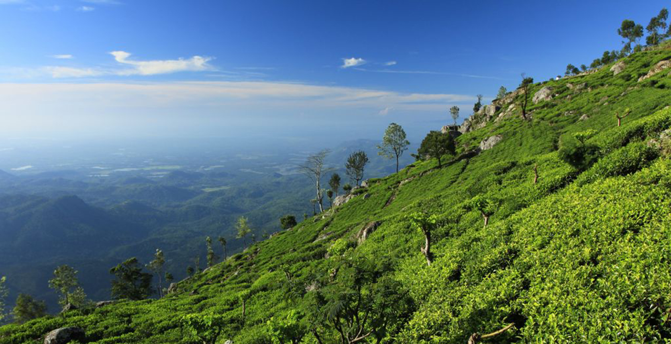 Sri lanka-Haputale