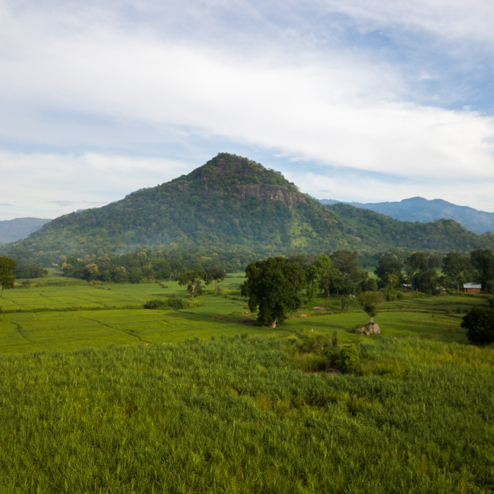 Sri lanka-Ella