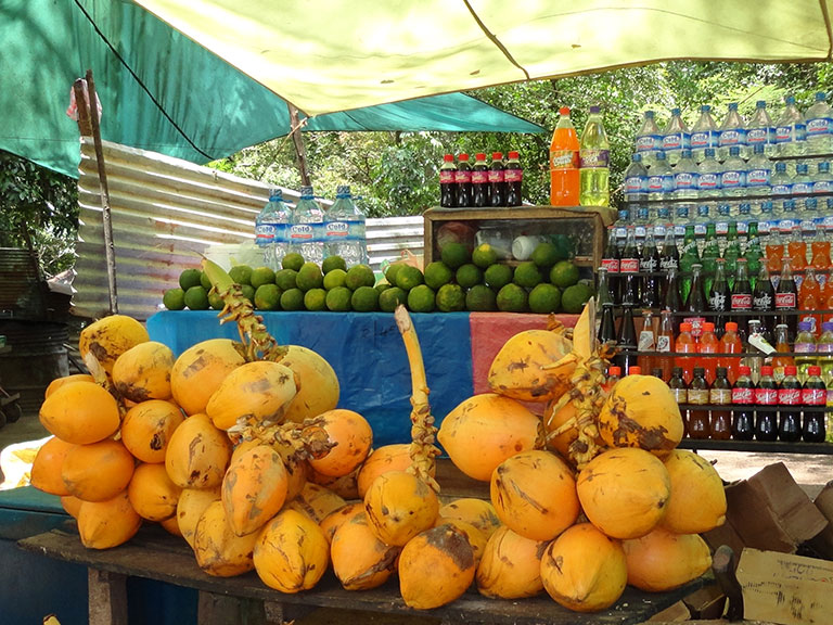 coconut-basket-sri-lanka