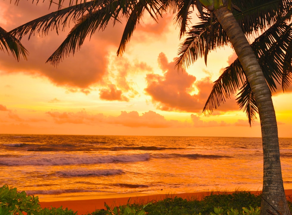 Sri lanka-sunset