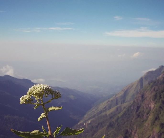 Sri lanka-Ella