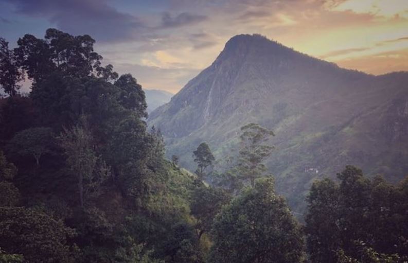 Sri lanka-Ella-Nature-View