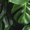 Sustainable and eco tourism