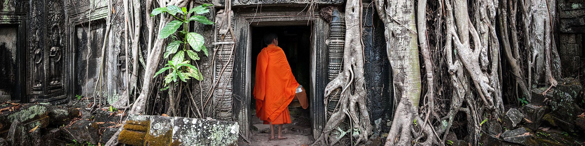 Cambodia, Monk, Angkor Ta Prohm