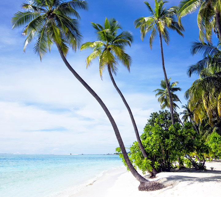 Beach, Maldives 