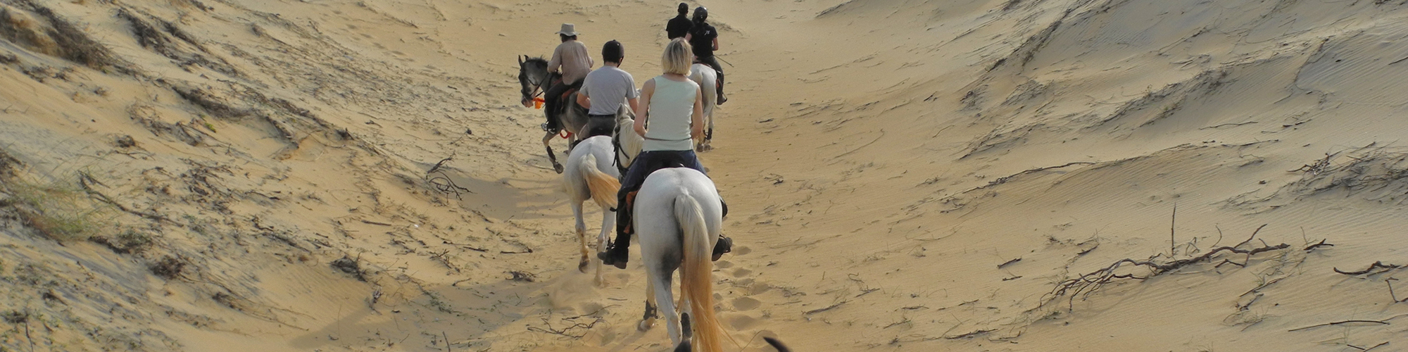 Horse riding tour in Sri Lanka