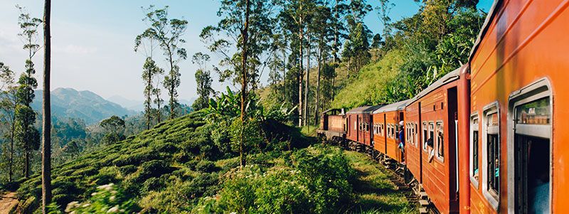 Train, Sri Lanka